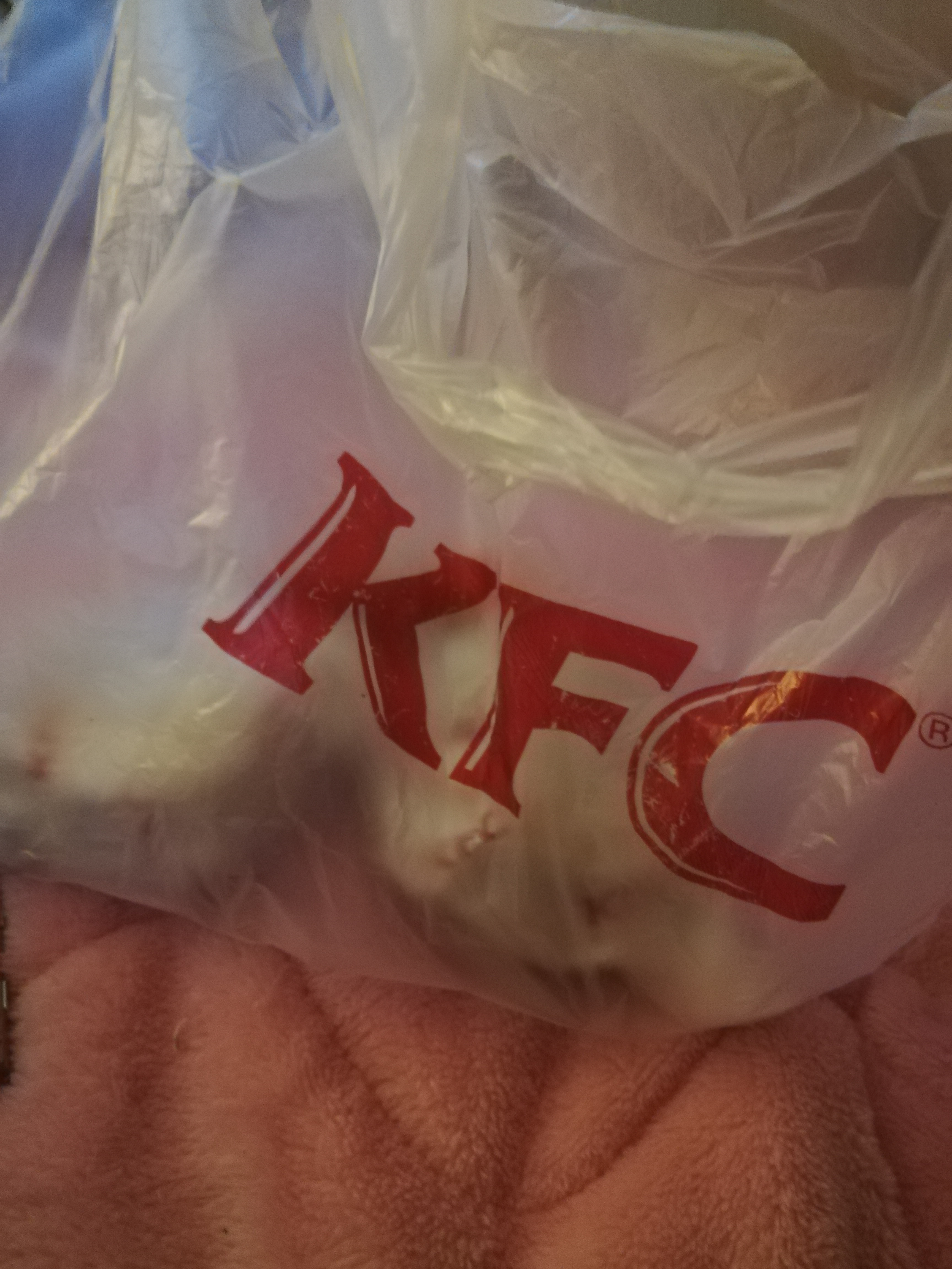 昼ごはん