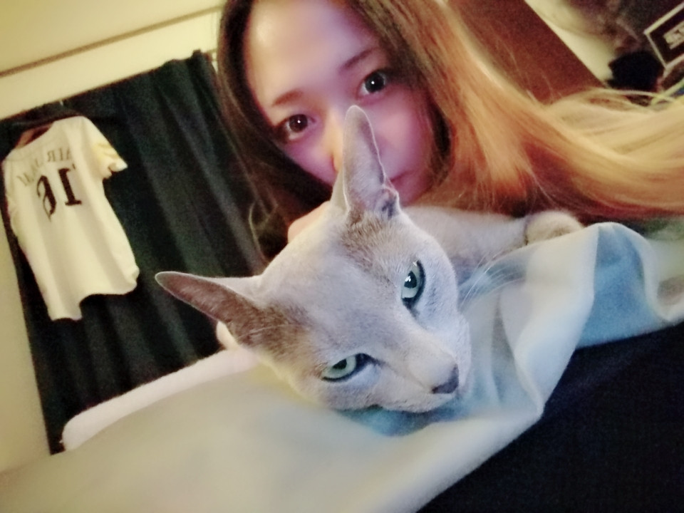 目覚めた(^o^)