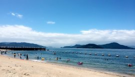 今日は…