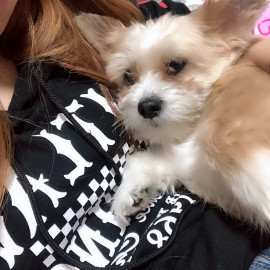 さあちむちゃんの2019/3/6 (水) 00:33のブログ