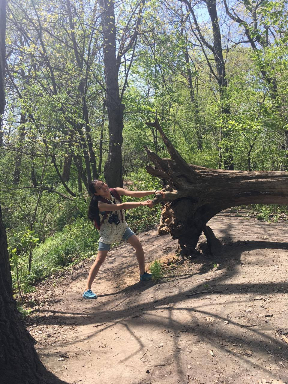 ゴーゴーのポイントで行く雪山登山と車中