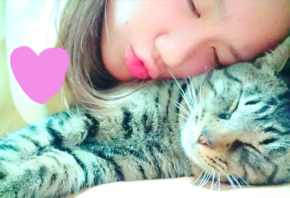 ぽちゃさや家のにゃんこちゃん！！