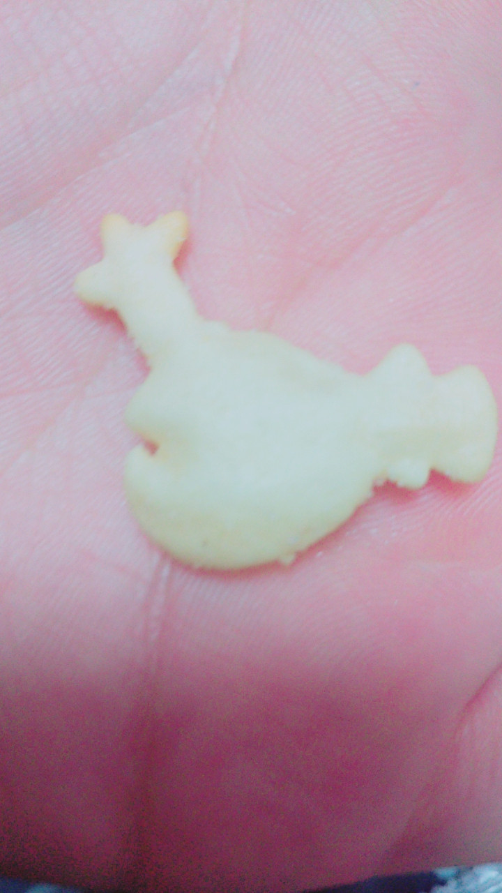 お久しぶりです〜！