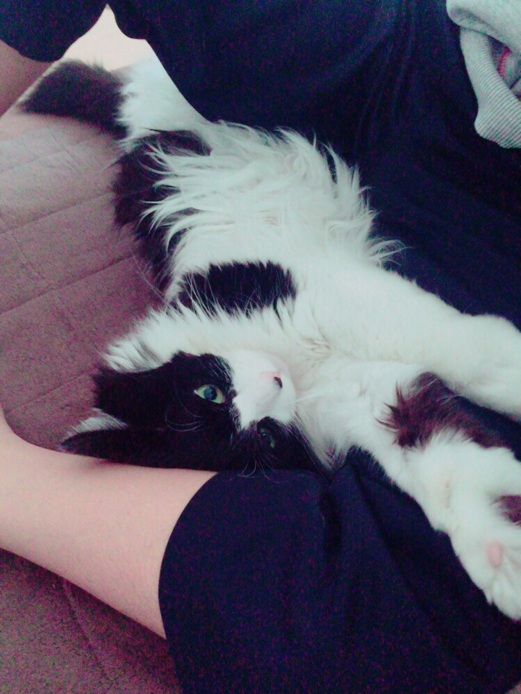 初めまして！