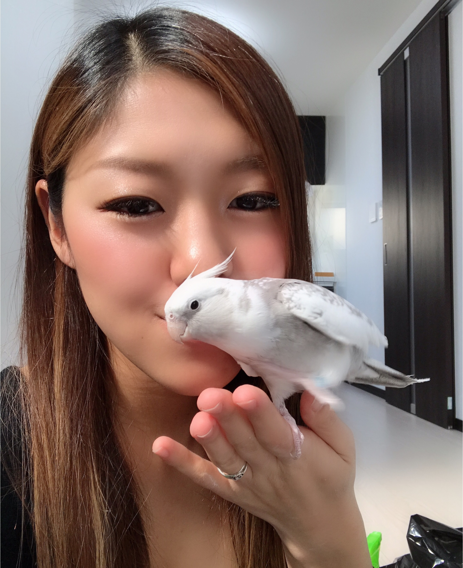 私のペットちゃんを紹介します??