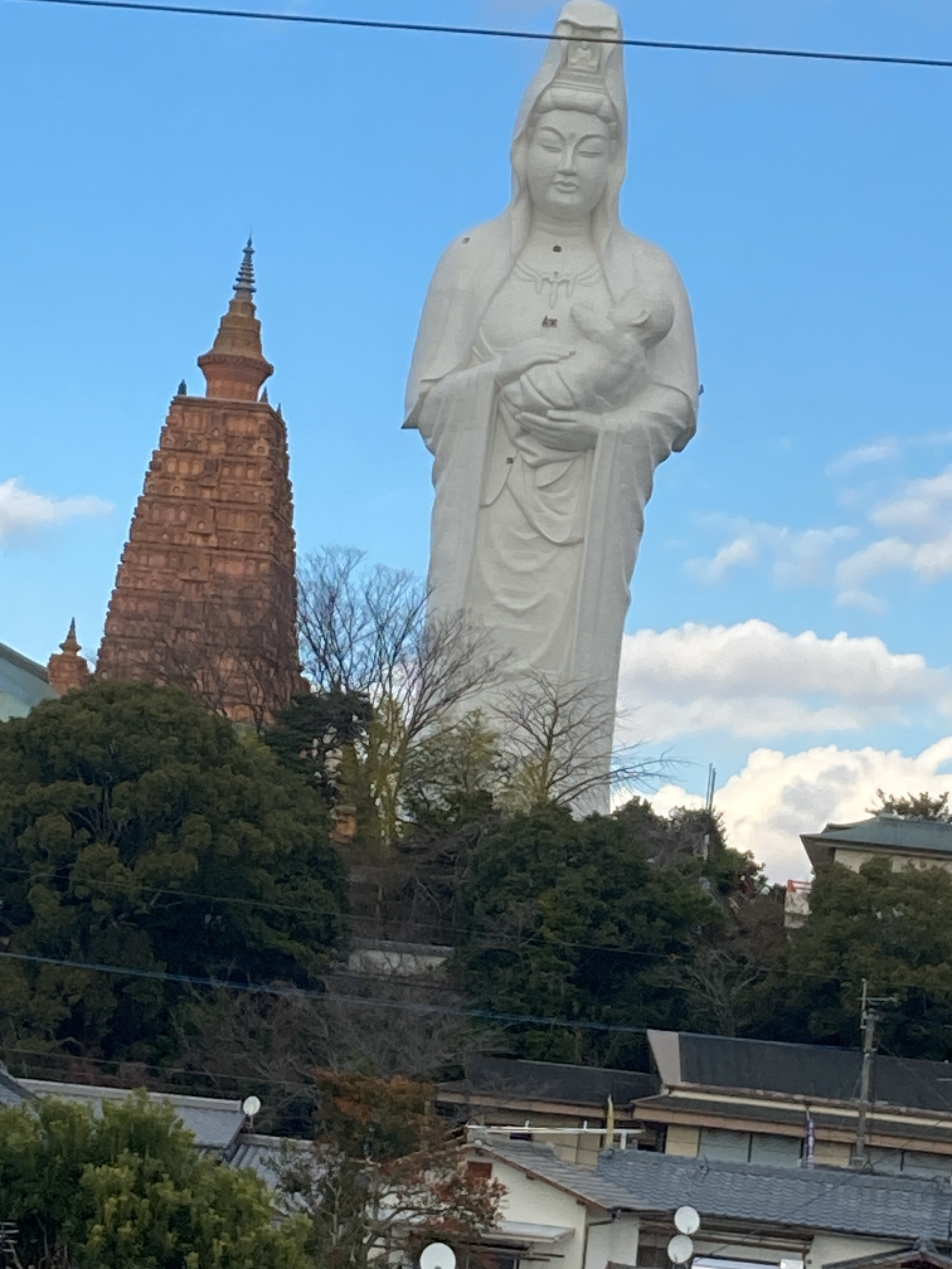 もらった飲めないが1口