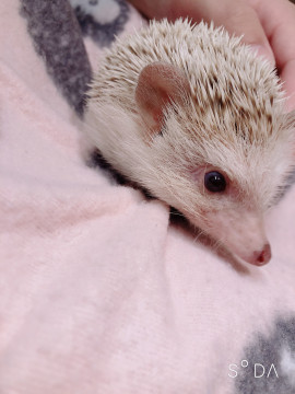 haruちゃんの2019/7/17 (水) 16:56のブログ