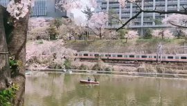 きいたまごちゃんの2019/4/9 (火) 11:12のブログ