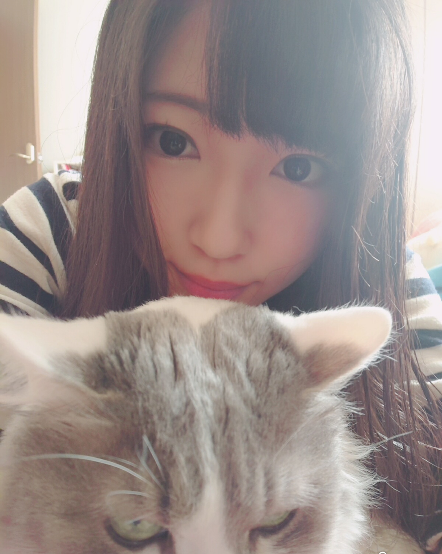 はじめまして！