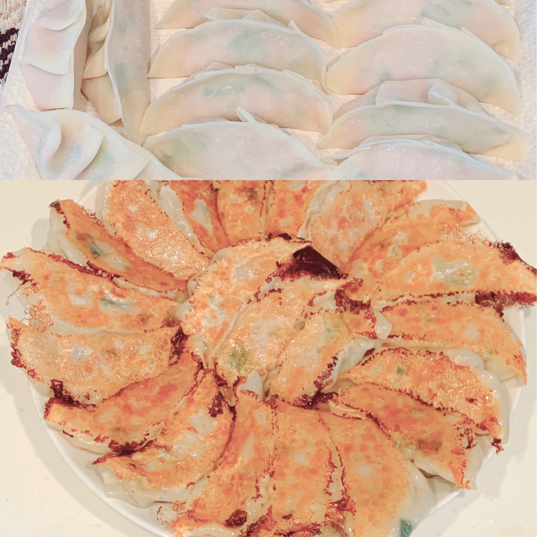 餃子