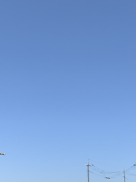 ななみちゃんの2019/4/20 (土) 10:31のブログ