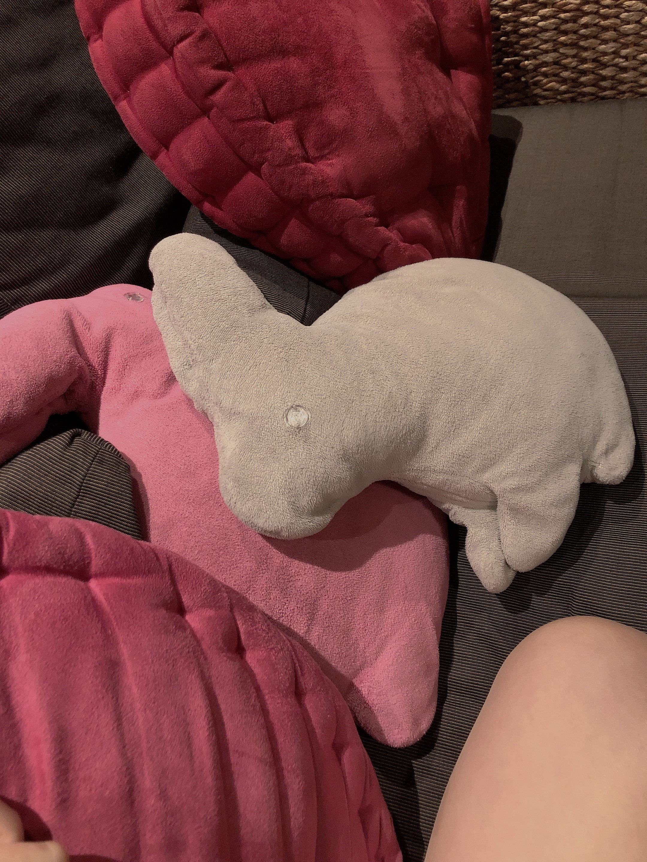 今日行ったお店！