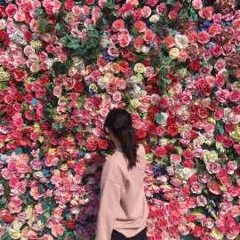 りこちゃんの2019/5/12 (日) 09:42のブログ