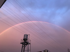 はなちゃんの2019/5/20 (月) 19:37のブログ