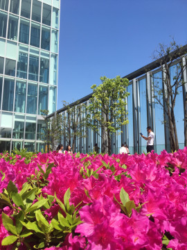 ちなちゃんちゃんの2019/5/13 (月) 18:25のブログ