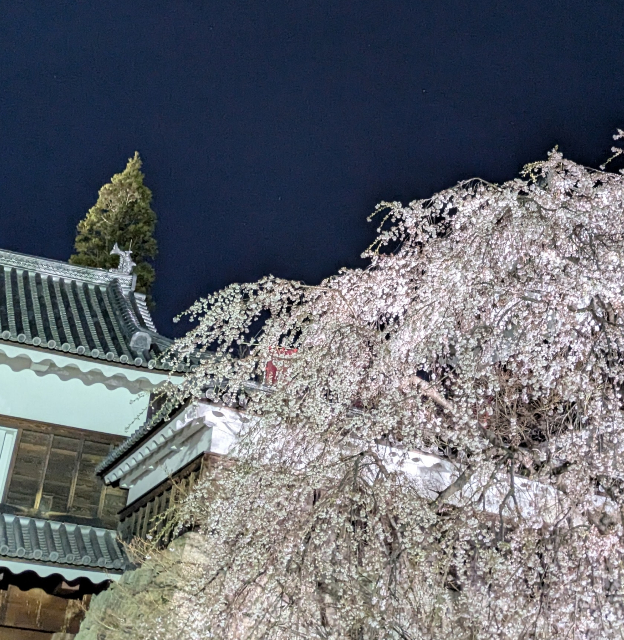 あそび部のつぶやき vol.2