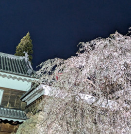 椎名りんねちゃんの2025/4/13 (日) 02:14のブログ