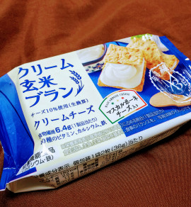 ☆初・ブログ投稿