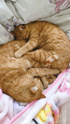 まなみちゃんの2019/6/28 (金) 21:03のブログ