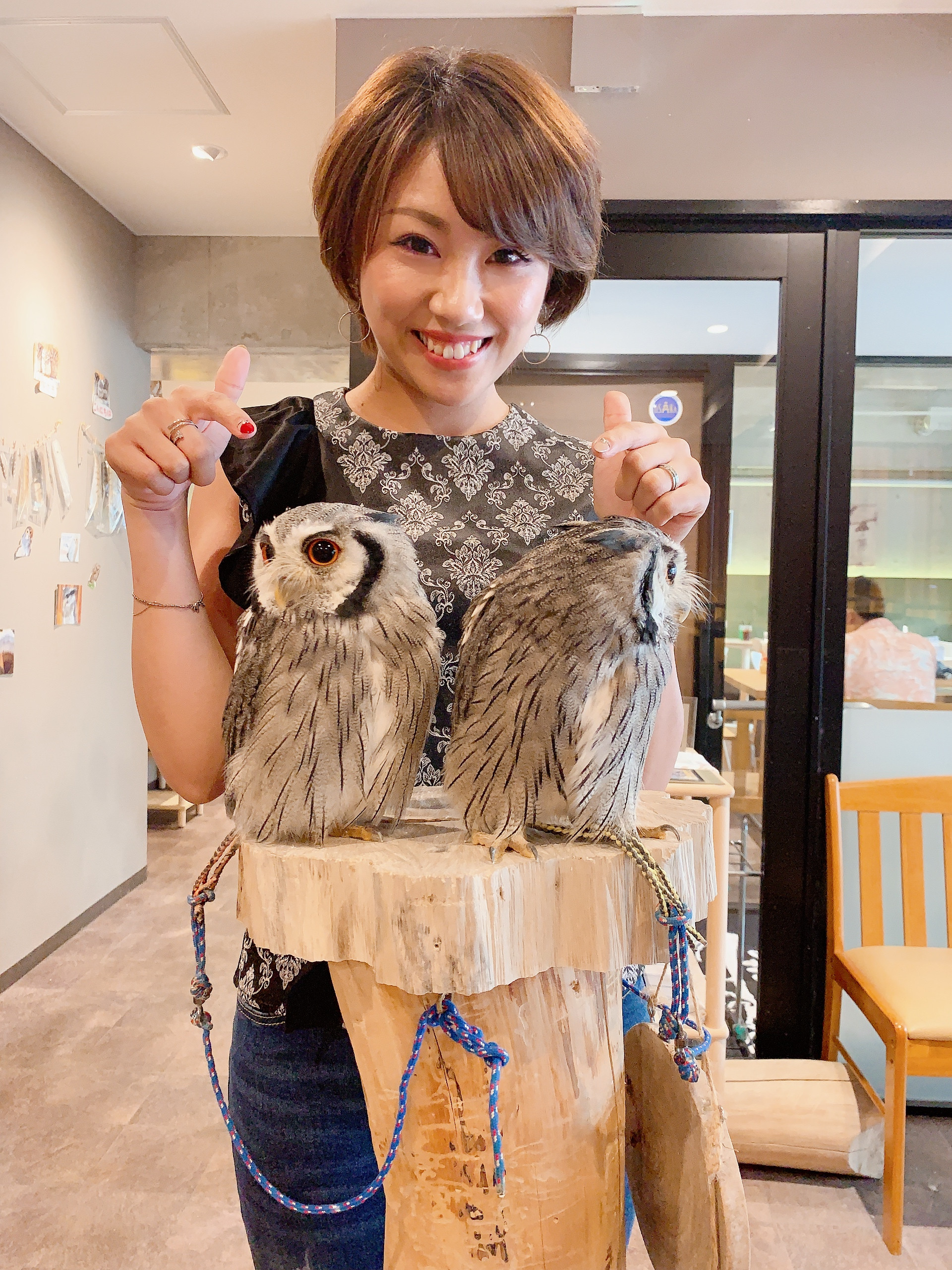 こんばんは??初投稿?