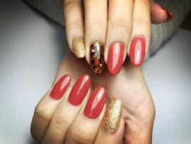 きょんちゃんの2019/11/23 (土) 14:50のブログ