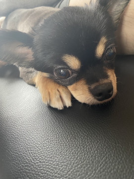 おはようございます