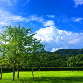 今日もお疲れ様です！