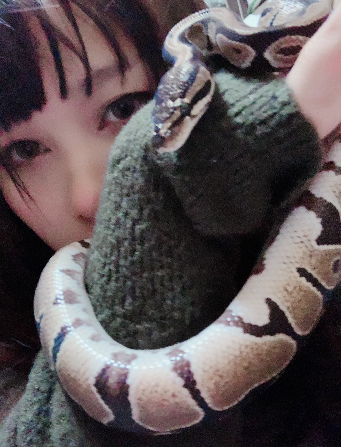 ボールパイソン自慢(,,>?<,,