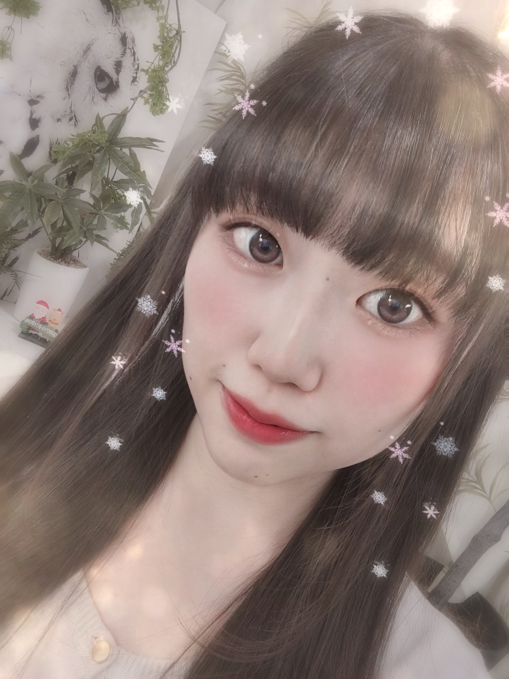 おはようございます！