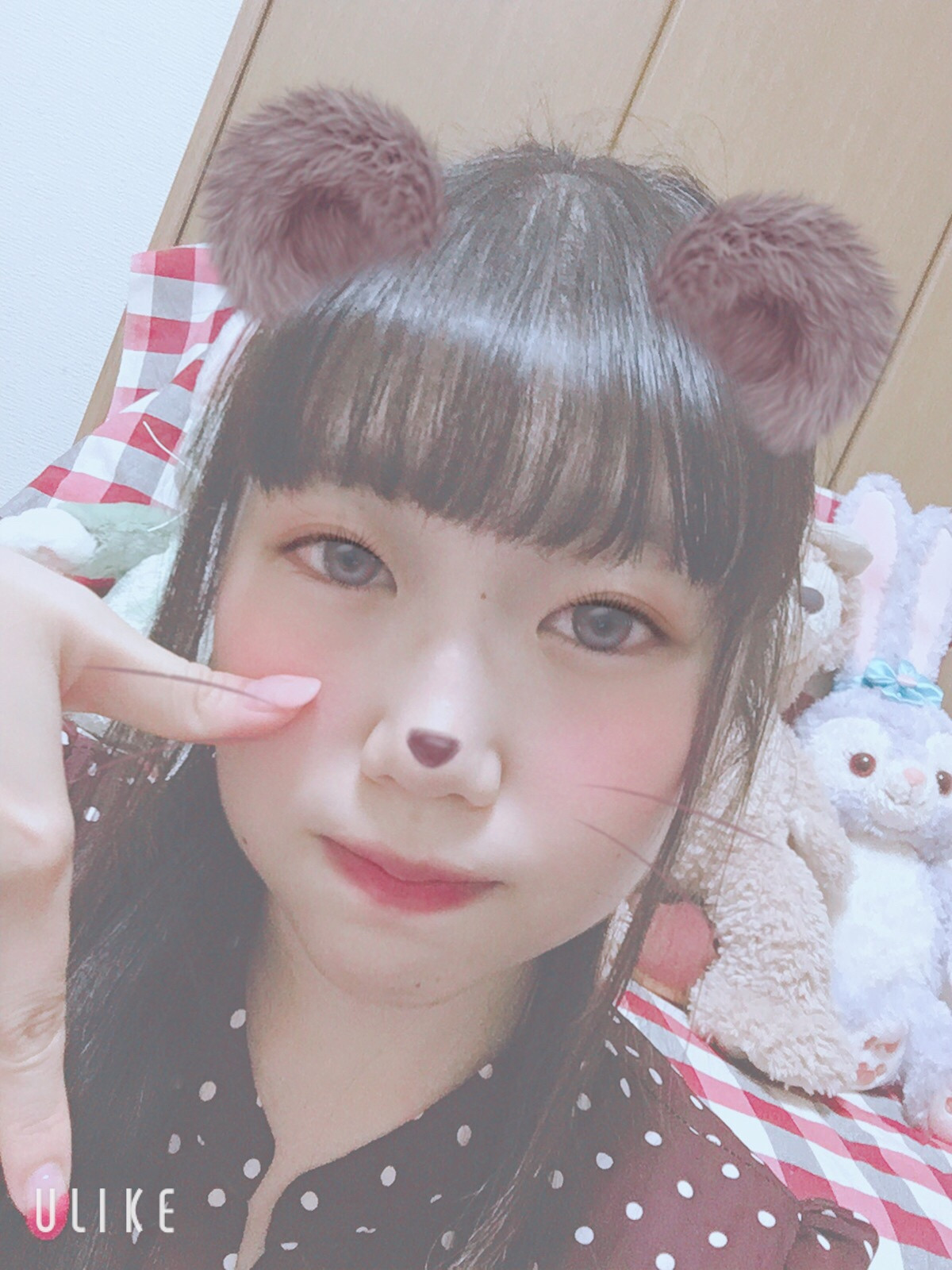 今日のめいです…