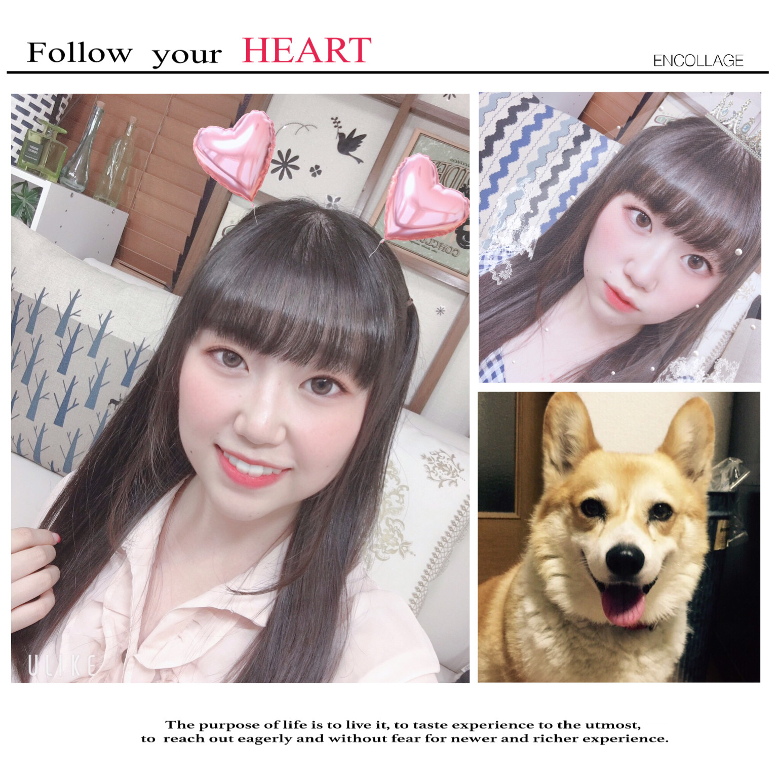 おはようございます！