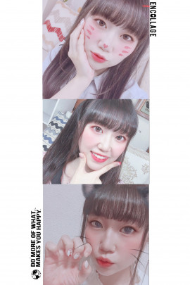 @@めい＊ちゃんの2019/10/13 (日) 08:55のブログ