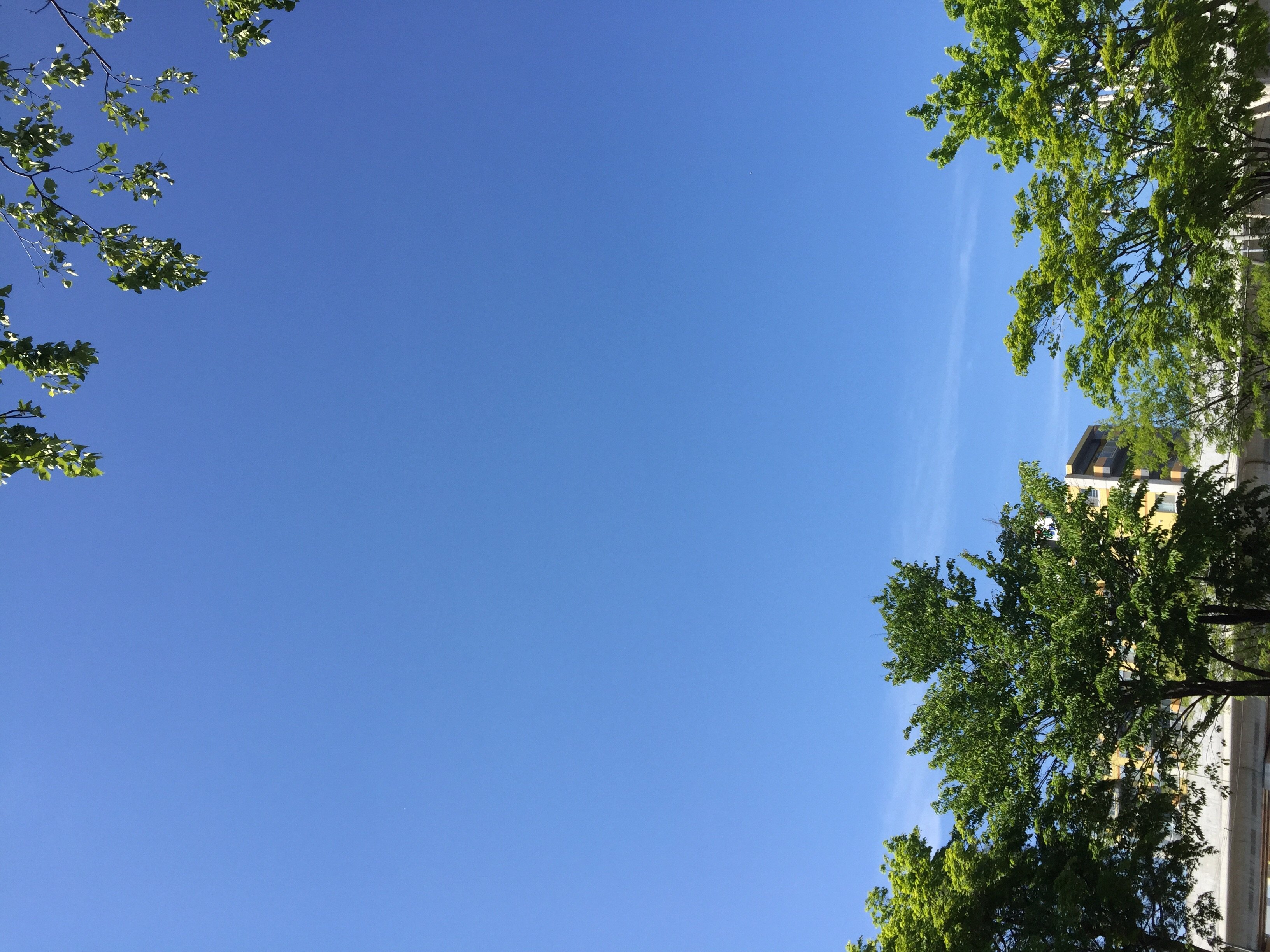 ひさびさブログ更新