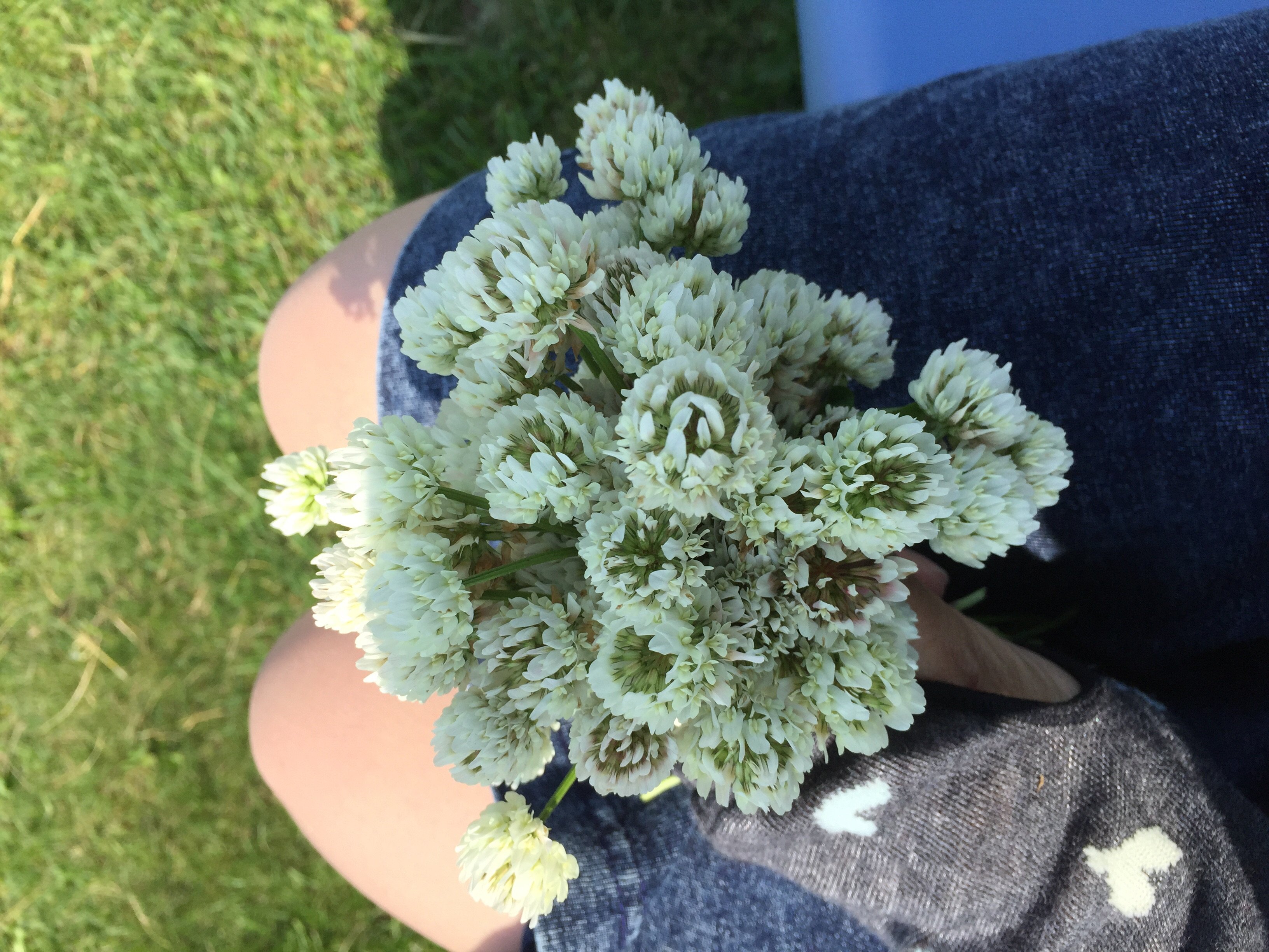 お花もらいました