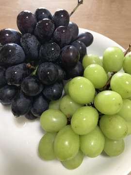 ななみちゃんの2019/9/11 (水) 10:13のブログ