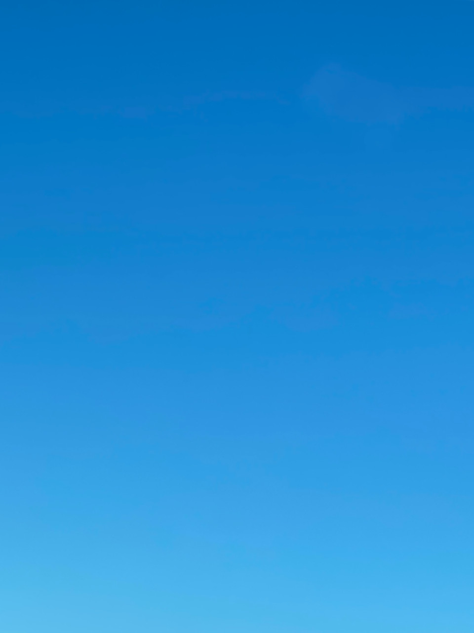 おはようございます！！