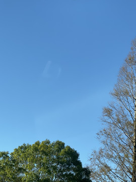 みりちゃんの2019/11/12 (火) 08:43のブログ