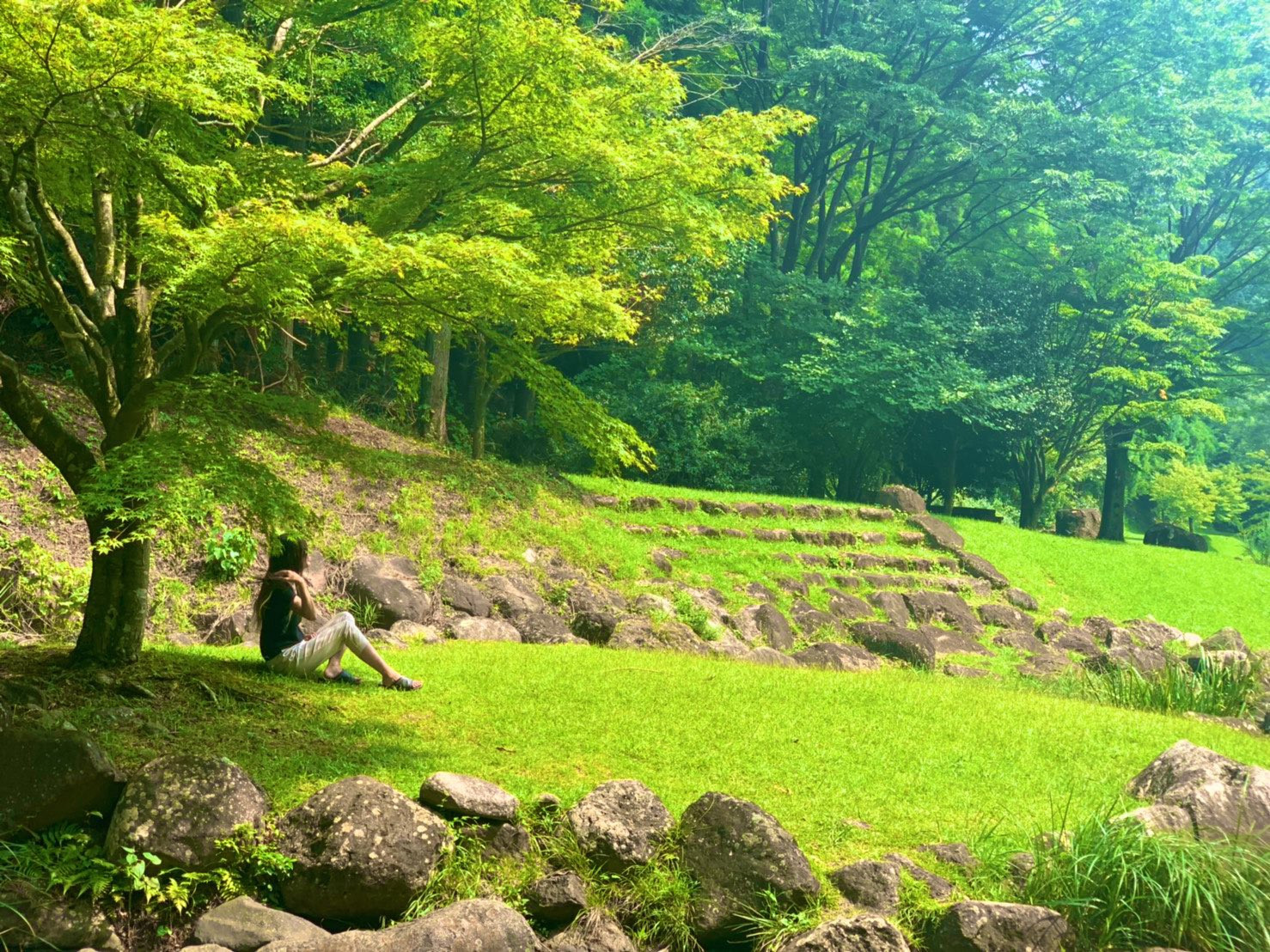 なんと！新情報！