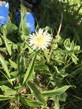 みぃ先生ちゃんの2019/11/5 (火) 18:17のブログ