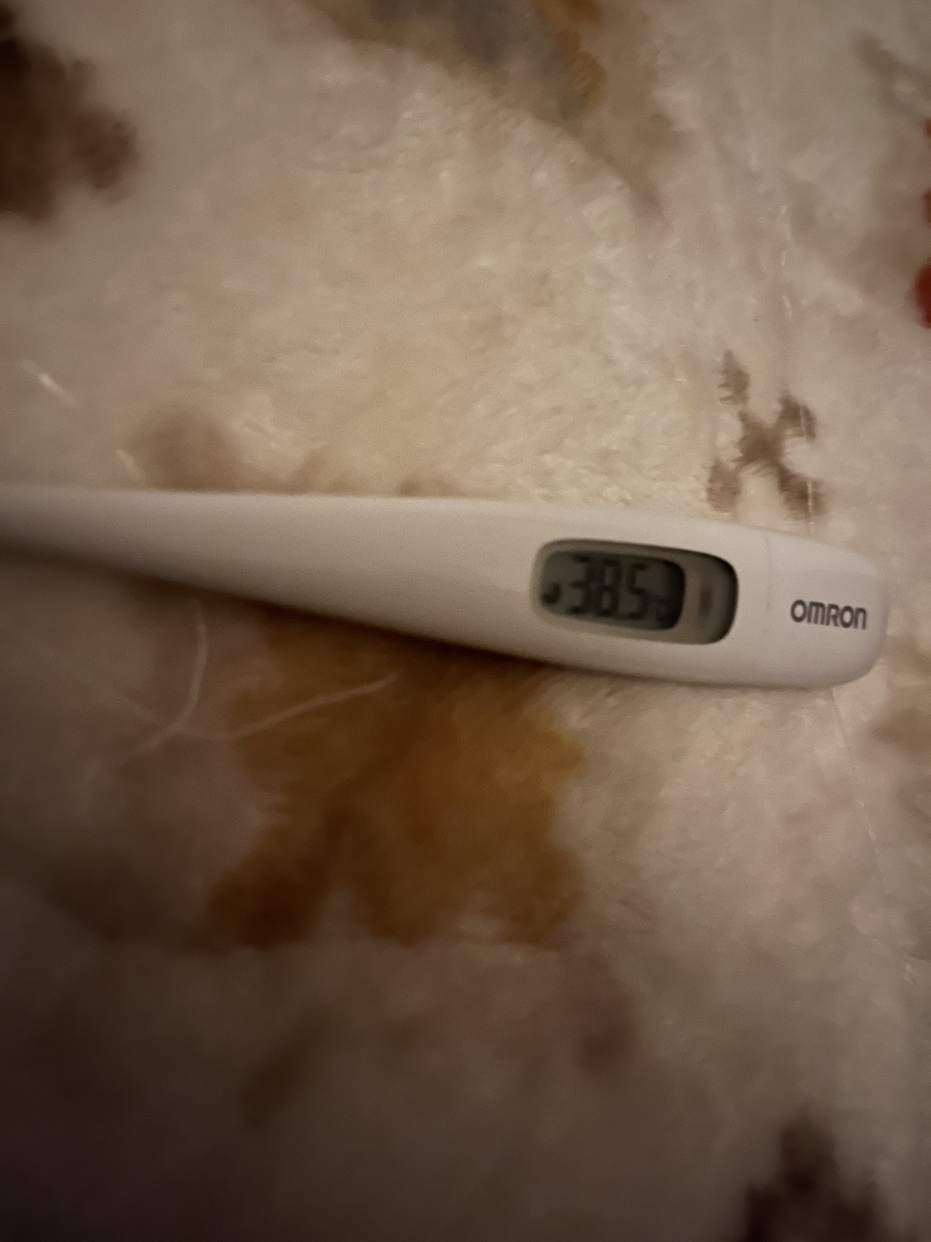 インフルエンザ