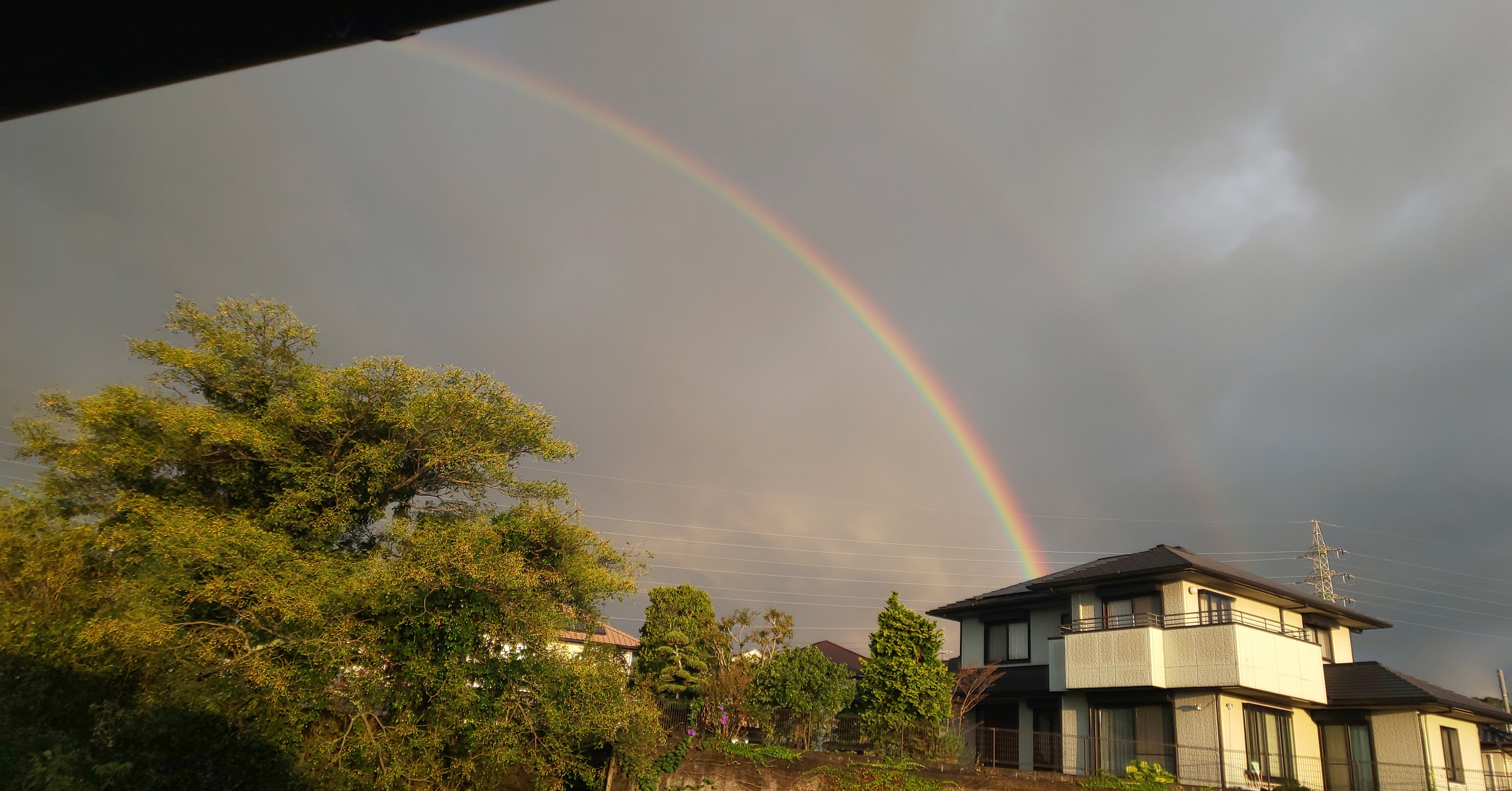 おはようございます！