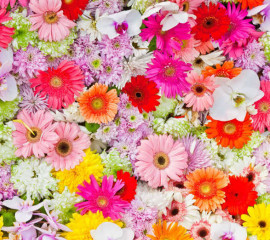 まやちゃんの2021/5/22 (土) 23:06のブログ