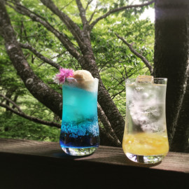 55の日??初参戦っ！