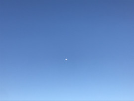 なつりちゃんの2020/11/5 (木) 15:35のブログ