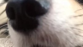 なつりちゃんの2020/8/13 (木) 20:20のブログ