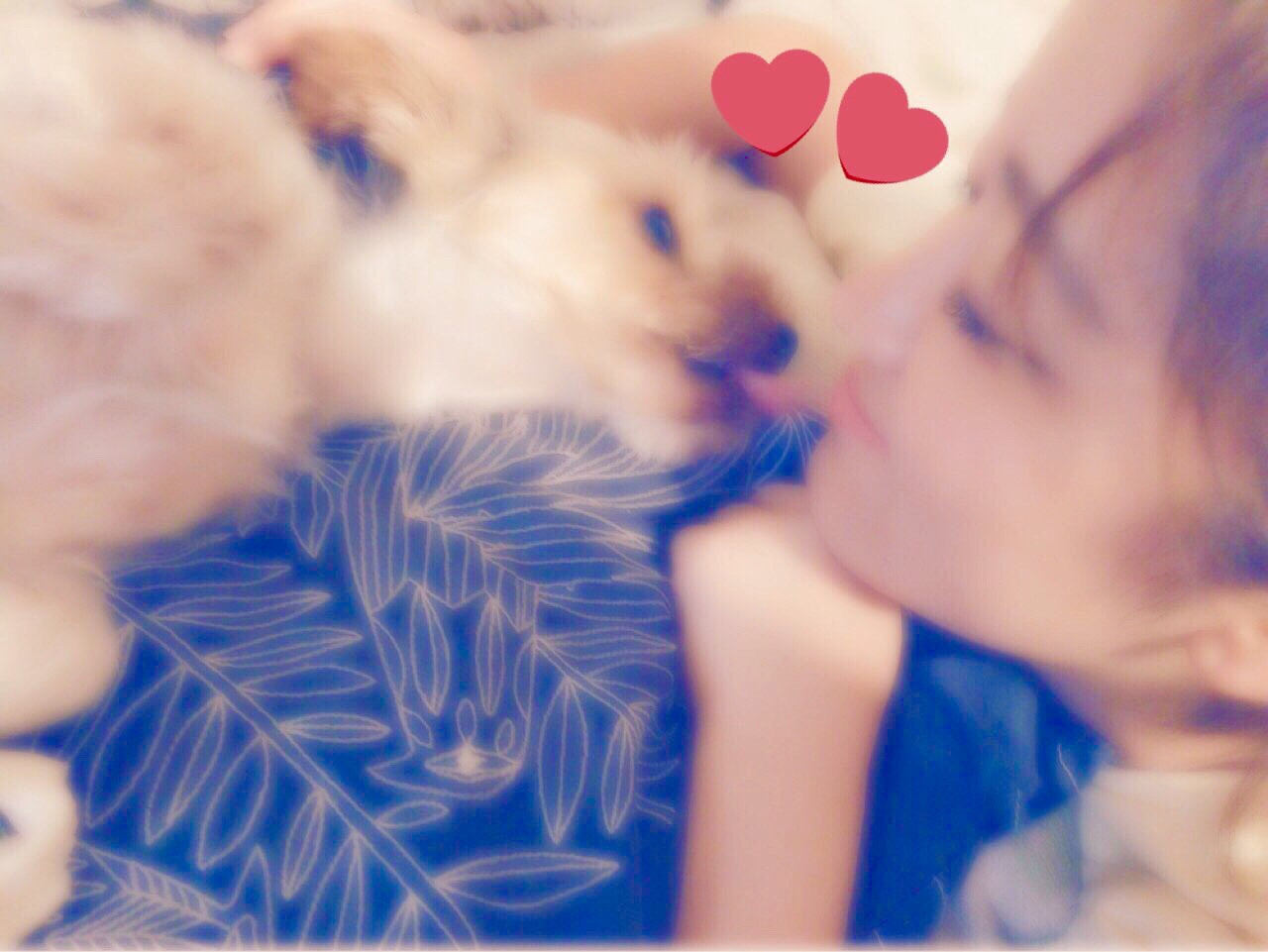 みつきのわんちゃん〜?