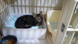 幸子ちゃんの2016/8/17 (水) 20:16のブログ