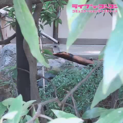 気分転換に^_^