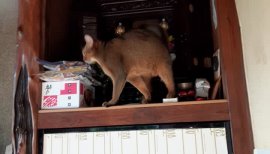 新大久保&nbsp;海ちゃんの2020/11/5 (木) 18:48のブログ