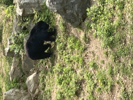 さよちゃんの2023/6/3 (土) 14:25のブログ